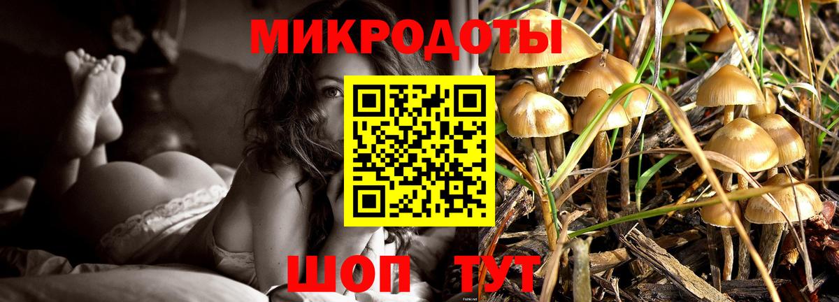 Псилоцибиновые грибы Magic Shrooms  Псилоцибиновые грибы Cubensis  Феодосия  Вход с VPN 