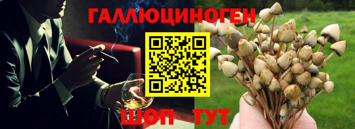 Галлюциногенные грибы GOLDEN TEACHER Феодосия